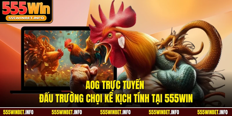Aog Trực Tuyến Đấu Trường Chọi Kê Kịch Tính Tại 555WIN