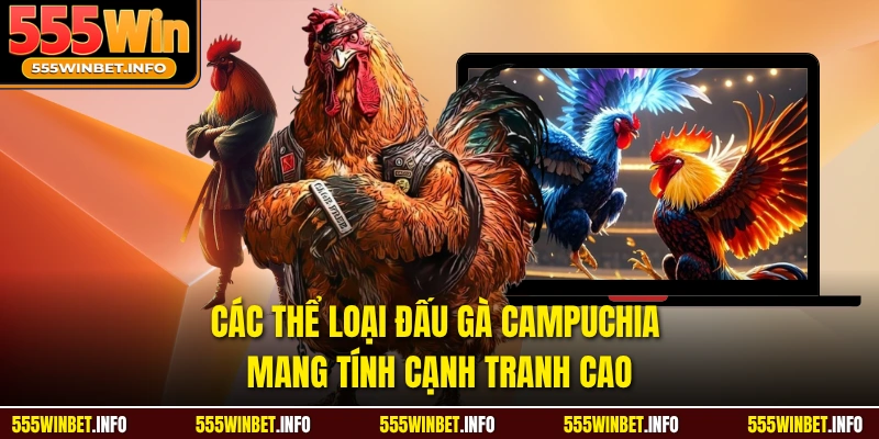 Các thể loại đấu gà campuchia mang tính cạnh tranh cao