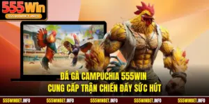 Đá Gà Campuchia 555WIN Cung Cấp Trận Chiến Đầy Sức Hút