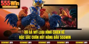 Đá Gà Mỹ Loại Hình Chiến Kê Đặc Sắc Cuốn Hút Hàng Đầu 555WIN