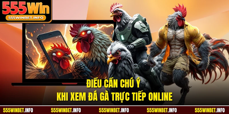 Điều cần chú ý khi xem đá gà trực tiếp online