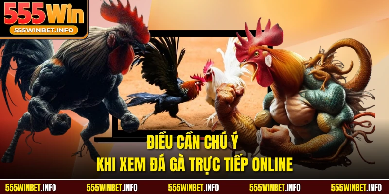 Điều cần chú ý khi xem đá gà trực tiếp online