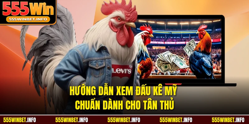 Hướng dẫn xem đấu kê mỹ chuẩn dành cho tân thủ