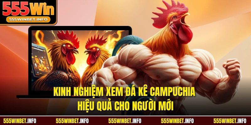 Kinh nghiệm xem đá kê campuchia hiệu quả cho người mới