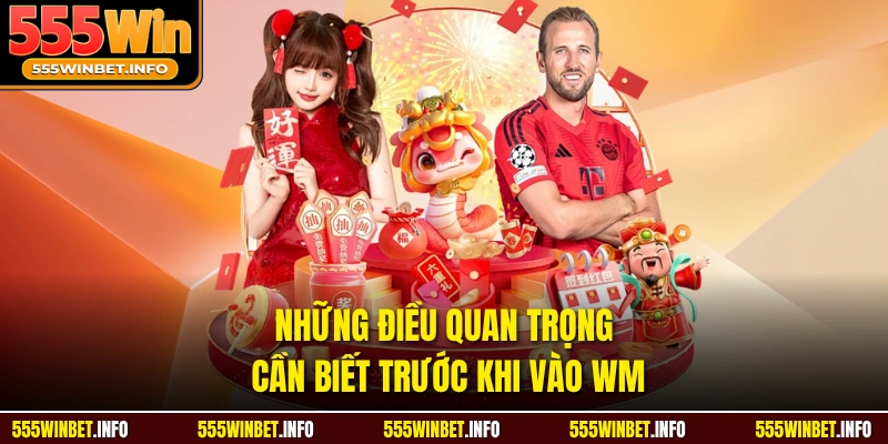 Những điều quan trọng cần biết trước khi vào WM
