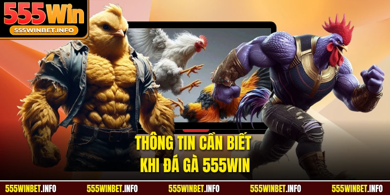 Thông tin cần biết khi đá gà 555WIN 