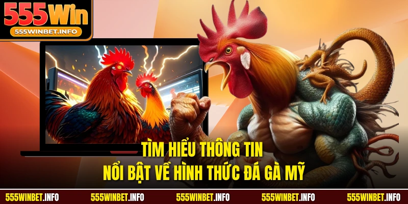 Tìm hiểu thông tin nổi bật về hình thức đá gà mỹ 