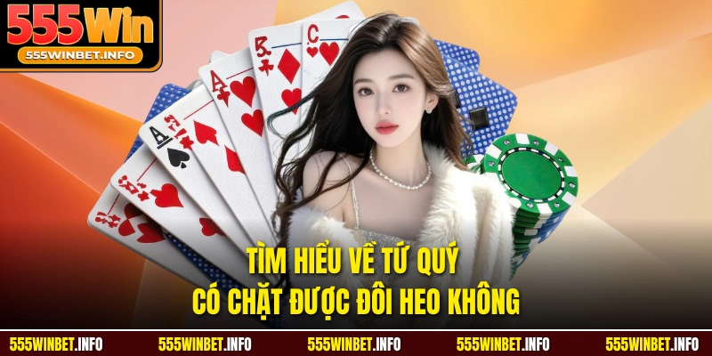 Tìm hiểu về tứ quý có chặt được đôi heo không