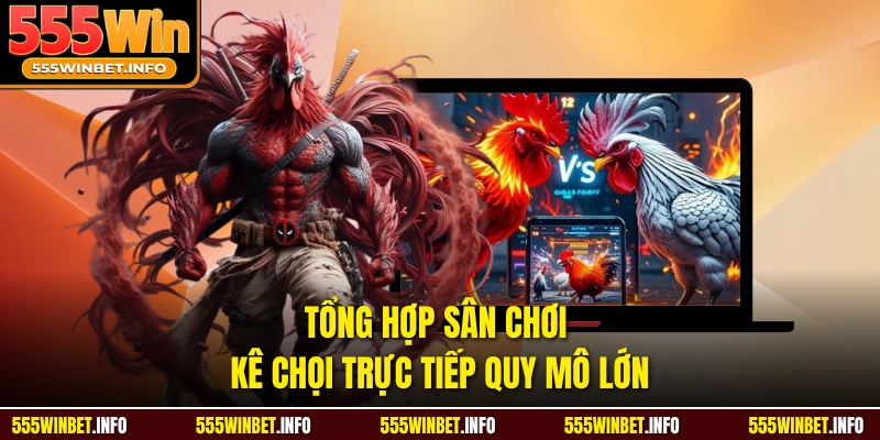 Tổng hợp sân chơi kê chọi trực tiếp quy mô lớn