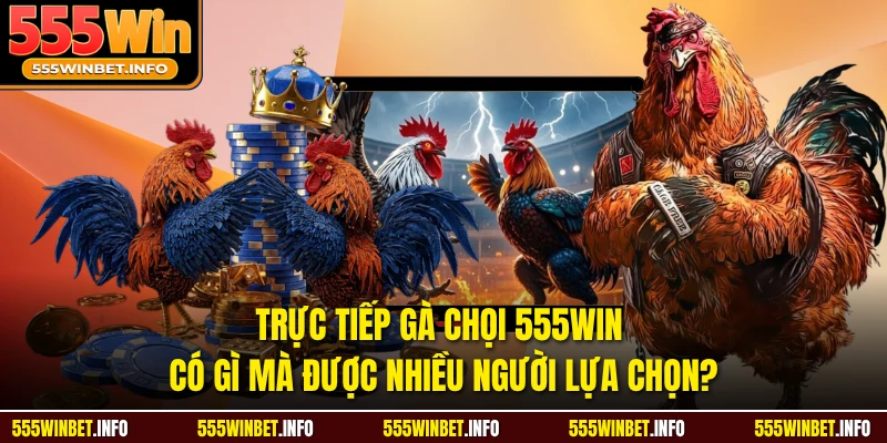 Trực Tiếp Gà Chọi 555WIN Có Gì Mà Được Nhiều Người Lựa Chọn?